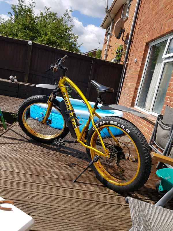 gumtree fat bike